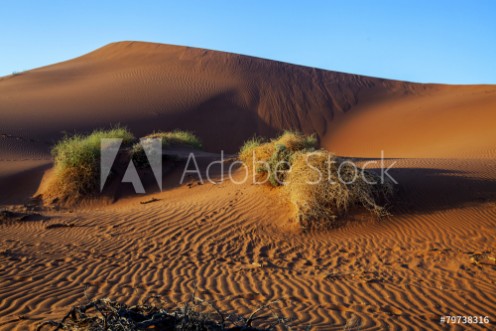 Picture of Desert landscape in Namibia